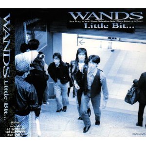 WANDS : Little Bit・・・ (1993)
