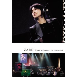 坂井泉水 : What a beautiful moment [DVD]